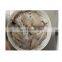 Good price frozen boston illex squid block