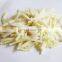 IQF Frozen Bamboo Shoot Strip