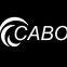 Cabo Electronics (foshan) Ltd.