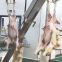 Slaughter House Live Goats And Sheep Skinning Machine For Lamb Slaughtering Equipment
