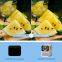 WiFi Screen Theater Smart Mirroring Proyector Led Lcd Video Projecteur