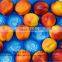 Fruit Plastic Packaging Vegetable Blister packing tray