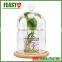high borocilicate clear flower glass dome