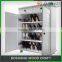 Vintage Home Furniture in Wooden Shoe Rack