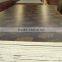 Poplar Core,wbp Glue,brown Film With Logo, 18mm Film Faced Plywood Manufacturer