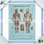 3D Embossed Plastic Medical Wall Posters, OEM 3D Anatomical Charts