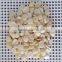 Blanched Bulk Apricot Kernels for Sales