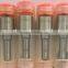 Factory supplier accessories nozzle and plunger valve