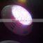 Shenzhen Manufactuer Surface Mounted Led Underwater Light With Remote Control