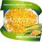 Salty Canned Sweet Corn Kernel In Tin