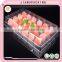 Wholesale disposable plastic rectangular clear blister tray for packing fruits salad