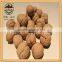 Organic thin shell walnuts from mountains