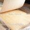 4*8 rotaryt cut natural birch veneer with real factory in India market