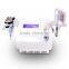 4 In 1 Cooling Vacuum Fat Dissolve 40khz Cavitation Body Face Rf Machine beauty equipment