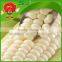 sweet yellow corn/yellow corn price yellow corn for human consumption