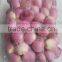 Manufacture of Peeled Shallot