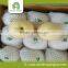 Wholesale 2015 fresh golden pears