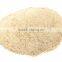 Inian Gum Arable Tree powder