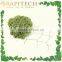 5 Feet x 10 Feet Gardening Plant Support Vine and Veggie Trellis