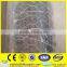 Galvanized Chicken Wire Mesh (factory)
