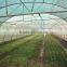 PE film coverd plastic tunnel greenhouse used for vegetables and fruits