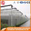 Agriculture farming/equipment greenhouse plastic film for plant vegetable and flowers made in China