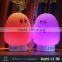 Wireless Bluetooth Speaker with Touch Control Color LED Light