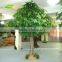 Big Artificial Banyan Tree bonsai 18ft high for Garden Landscaping decoration indoor use