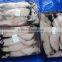 Frozen Loligo Squid