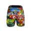 Printed Underwear Undergarments Boxer Brief Underpants Mans Shorts Trunk Custom Design