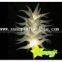 Inflatable LED star