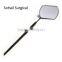 eyelash mirrors
