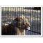 Security Fence