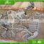 KAWAH Museum Quality Life-Size Realistic Dinosaur Skull For Sale