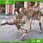 KAWAH Museum Jurrassic Park Life Size Skeleton Dinosaur Fossil