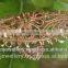 copper rings manufacturer, copper rings exporter