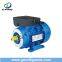 Zhejiang Taizhou Wenling High Efficiency Motor