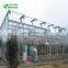 New condition photovoltaic glass greenhouses/mulit_span agricultural glass greenhouse