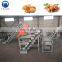 automatic nut cracker jujube hazelnut production line almond processing line almond cracking machine