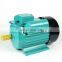 Hot Sale & High Quality Yl90l-2 3hp 2.2kw 2800rpm Single Phase Induction Motor for Wholesale
