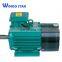 IE2/IE3 Three Phase construction Squirrel Cage Fan Induction Electric Motor