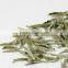 Best White Tea Brands Organic White Tea Silver Needle