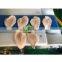 2020 China Industrial Fresh Beef Meat Slicing Machine Beef Meat Slicer with Good Slicing Effect