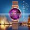 Relojes SKMEI 1709 Magnet Mesh Strap Lady Watch Quartz Wristwatches For Women