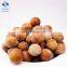 (Free Facemask After Order) BRC Certified IQF Frozen longan