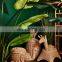 High Quality Elephant Rattan Storage Basket Creative Natural Woven basket Wholesale Supplier