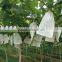 Insect/chemical prevention grape growing bag