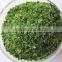 Wholesale Dried Seaweed Green Laver Aonori Ulva Lactuca Powder/Flakes Food Grade