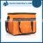 New arrival disposable cooler bag for frozen food