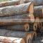 RUSSIAN Timber Log / Sawlogs /Wood round logs / lumber /PINE / SPRUCE / LARCH / BIRCH